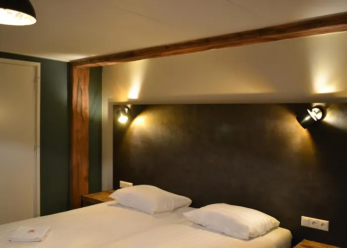 Hotel & Eetk'Fee De Vlik 3* Ospel